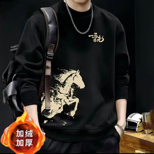 2026�����¿���R���l���п���R������ϲ�c�L��ӽq�Ӻ�vibe��