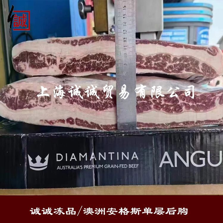 澳洲203厂安格斯谷饲150天单层后胸 冷冻生牛肉 火锅豆捞肥牛卷