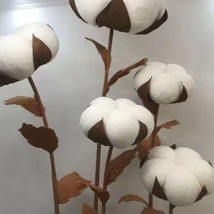 ���ͳ�Ʒ�ֹ��޻���Y�b�����ꐵ��߻�c�zӰ��ˇ���W�t