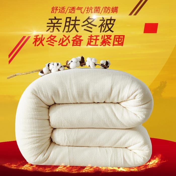 Xinjiang Cotton Quilt with Cotton Batting, Mesh Cotton Wadding, Cotton-Edged Winter Quilt, Suitable for Dormitory and Home Use, All-Season Bedding Pad