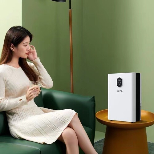 New Fly Dehumidifier Home Small Quiet Drying Machine Bedroom Living Room Basement Humidity Control Dehumidifier Dryer