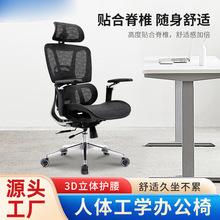 人体工学椅腰部支撑久坐不累电竞椅可坐可躺办公椅午睡舒适电脑椅