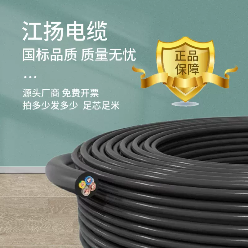 护套线家用户外2/3/4芯1/1.5/2.5/4/6平方C级充电桩电缆电源线RVV