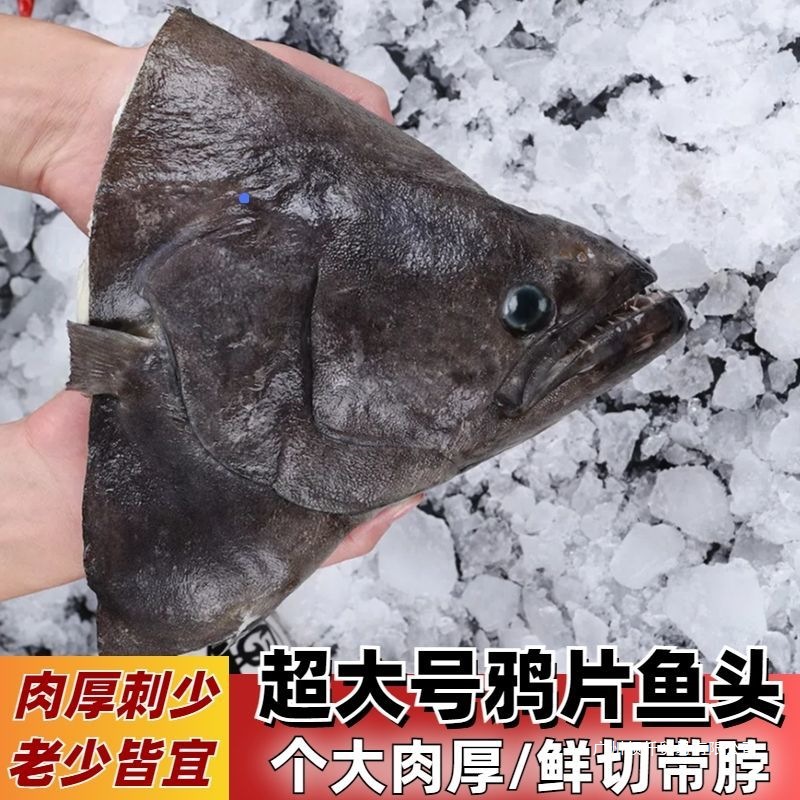 野生鲽鱼头深海特大格陵兰比目鱼头新鲜冷冻鸦片鱼头银鱼冷冻水产