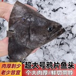 野生鲽鱼头深海特大格陵兰比目鱼头新鲜冷冻鸦片鱼头银鱼冷冻水产