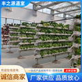 垂直水培A字支架栽培高架草莓蔬菜种植架水培蔬菜无土栽培种植槽