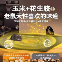 ճzMOUSE&RATGLUEBOARD岶մ及ճ