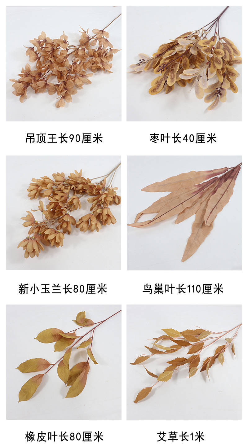 详情图