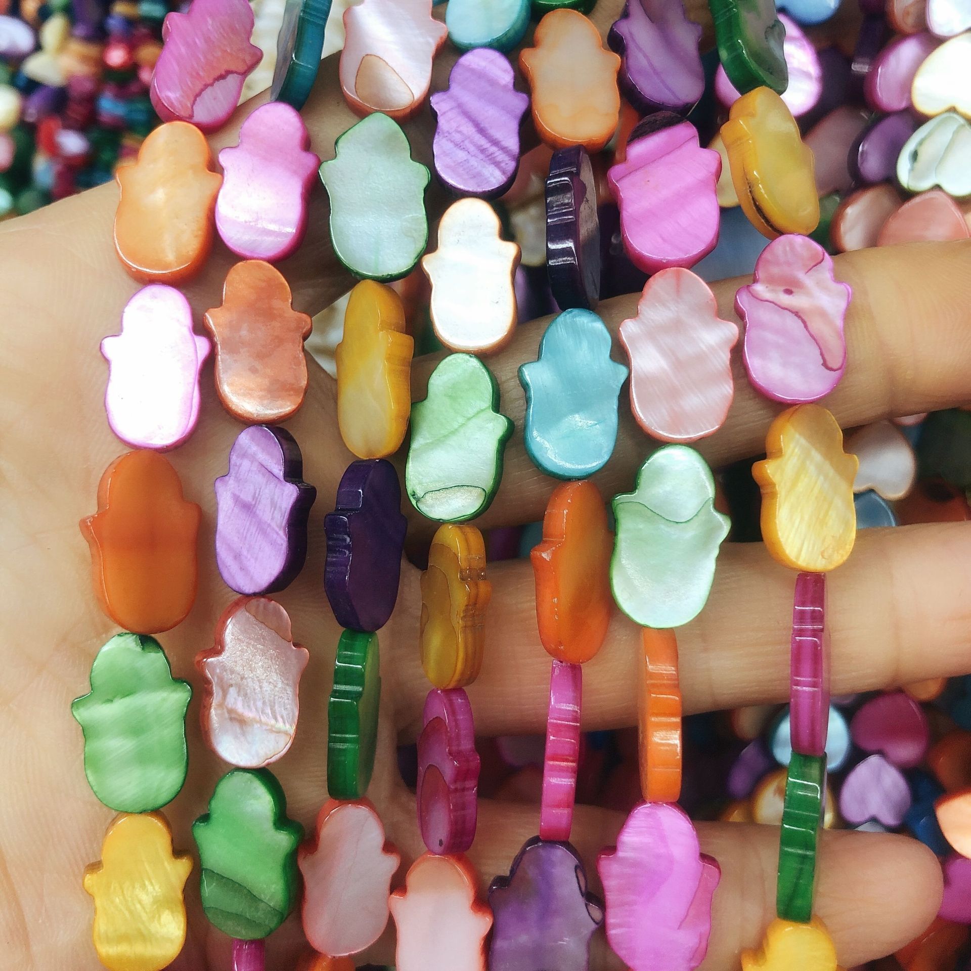 淡水贝:圆边手掌-5