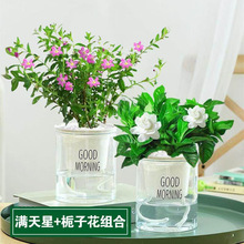 �d�ӻ��簲�������ԾGֲ�������򻨾G�}������lؔ����m�҃��ļ�