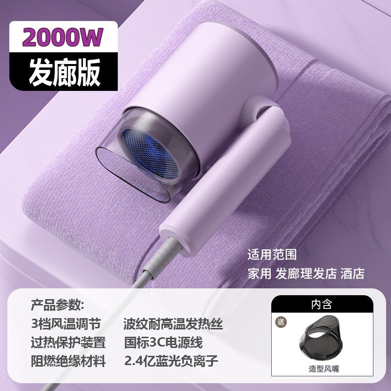 보라색 2000W - 집중 노즐 포함