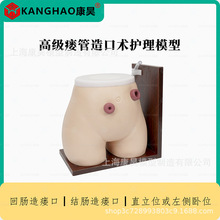 ��������g�o��ģ�� �Y�c���c�쯛���o���̌W�����wģ��