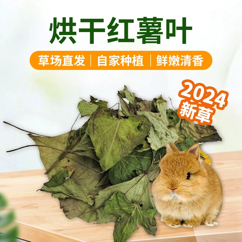 Новый продукт: сушеные листья сладкого картофеля для молодых кроликов, шиншилл, морских свинок, альпак, корм для домашних животных из съедобной травы, корм для кроликов из сушеных листьев