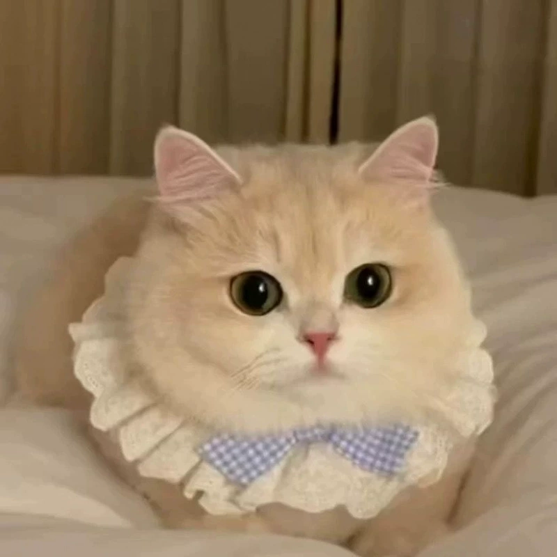 Кружевной воротник-комбинезон для кошек, аксессуары, милый шарф с бантом для домашних животных, декоративный нагрудник, нагрудник для собаки