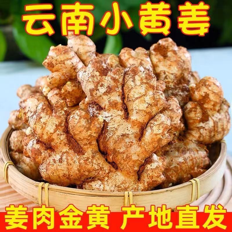 云南小黄姜5斤老姜新鲜现挖高山沙姜土姜代发包邮厂家直销