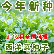 ˷NѶ˷Nӿr̨ļNˮҰˮ۲˷N