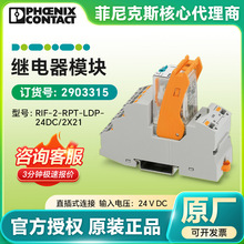 �¹������˹��Ʒ�̵���ģ�� RIF-2-RPT-LDP-24DC/2X21 2903315