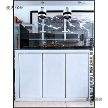 �~���X�Ͻ�ľ�y�י� �X�Ͻ��ܰ�߅���� �~�׼��� �X�� �X��̫��