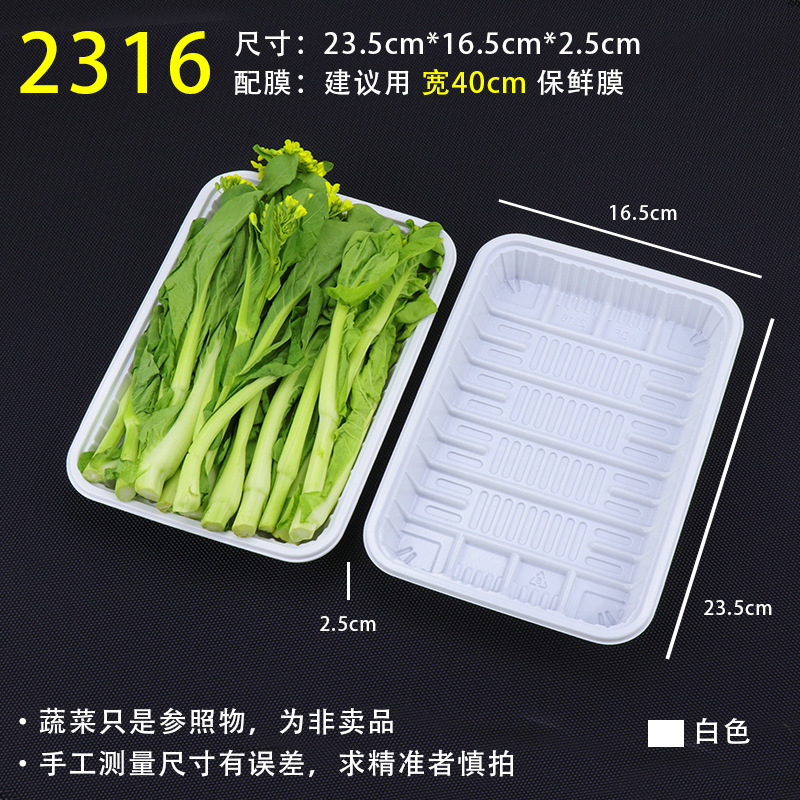2316 White [100]
