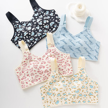 CD杯新款超薄兔耳朵杯内衣女大胸显小薄杯无痕性感豹纹大码文胸罩