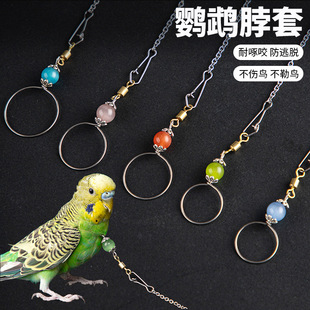 �W�^���ײ��P��_����Pĵ����Ƥ��Ȧ˨�B����B�K���w�KӖ������