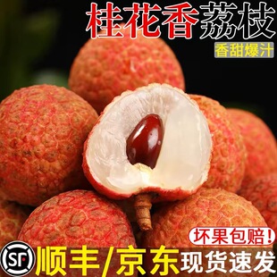 ������֦�������rˮ������������]�����������ǬFժ����ζ��S