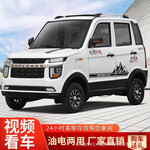 猛禽款越野款四轮电动车代步家用轿车小型汽车油电新能源爬坡王