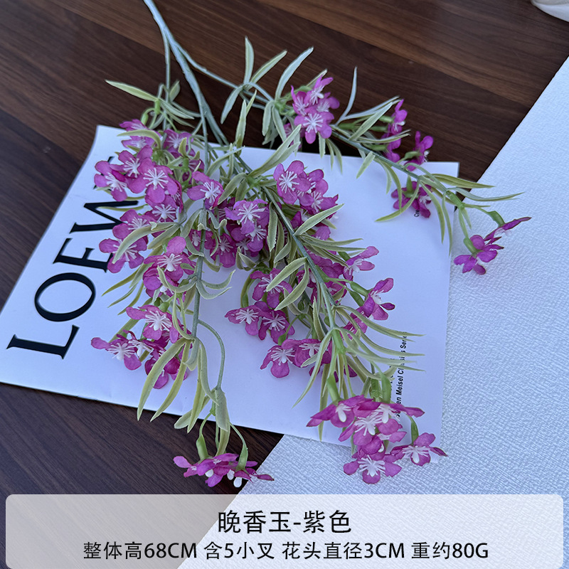 튜베로즈