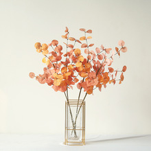 ���Sֱ�N�羳������������֦�zӰ���߻�Y�������÷����ȼ����廨