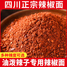 �������l�Ĵ���������������������պ�������������͝�����