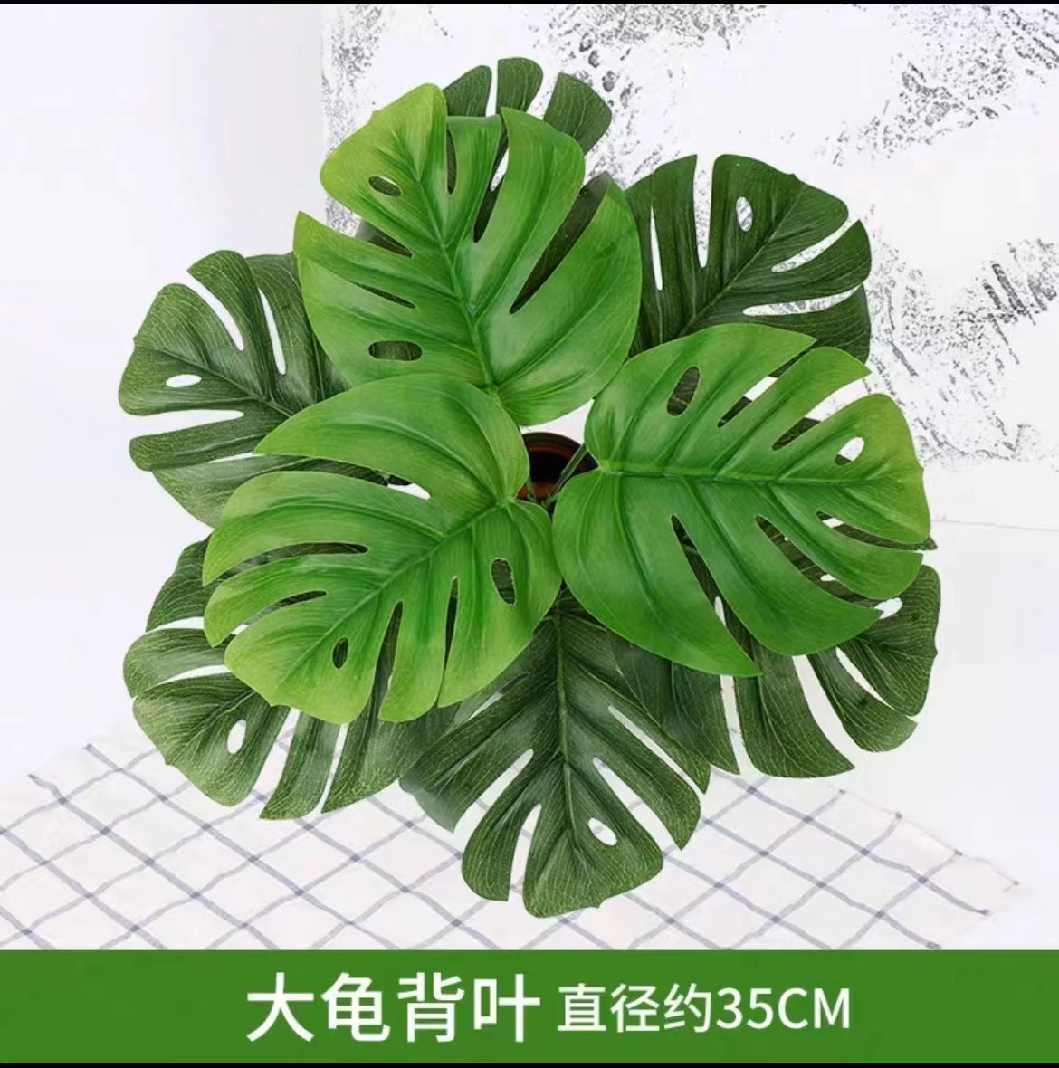 Big turtle leaf