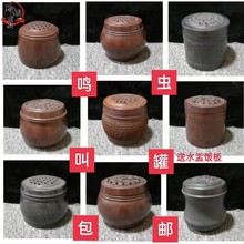 ���ͺ��J�X�X�B���й��������������R������й����p�Q�x�þ�