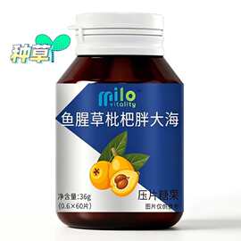 厂家现货一件代发 【鱼腥草枇杷胖大海】压片糖果60片