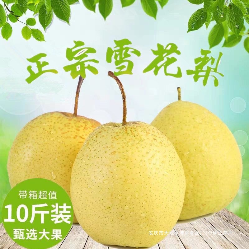 正宗冰糖雪梨雪花梨当季新鲜水果梨子非皇冠梨鸭梨酥梨5/10斤包邮