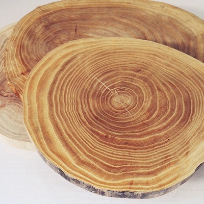 Elm Crosscutting Ring Chips Elm Stakes Model a decoration Chips DIY Chips On behalf of