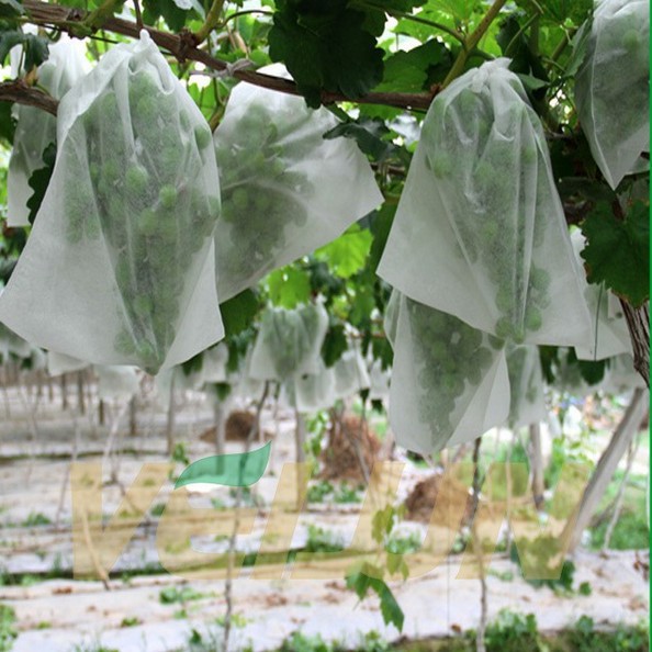 【】农用水果定型袋抗紫外线白色抗老化PP纺粘无纺布抗UV定型袋