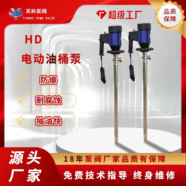 Электрический бочковой насос HD-E2-V+304-1000 220В, коррозионностойкий безвалаевый электрический насос для жидкостей из нержавеющей стали