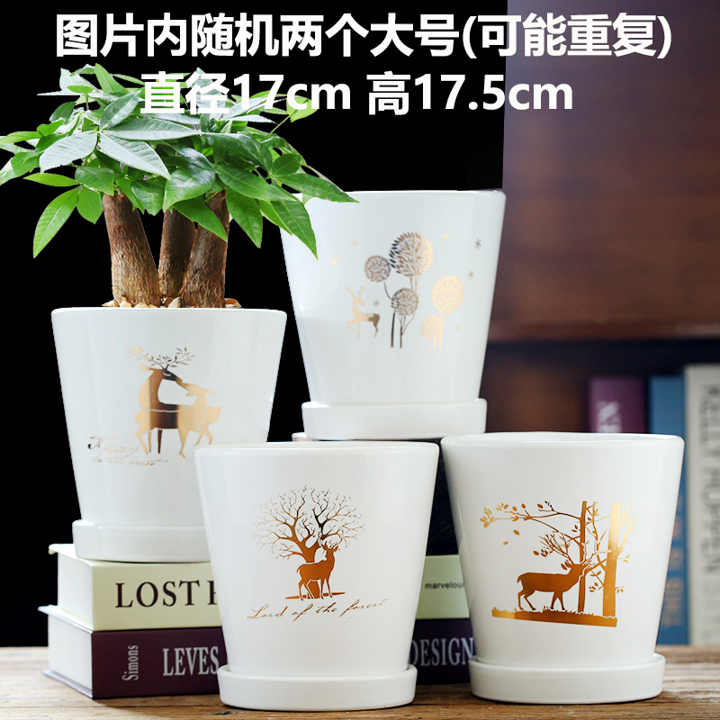 가격 대비 가치가 높은 무작위 대형 황금사슴 2마리