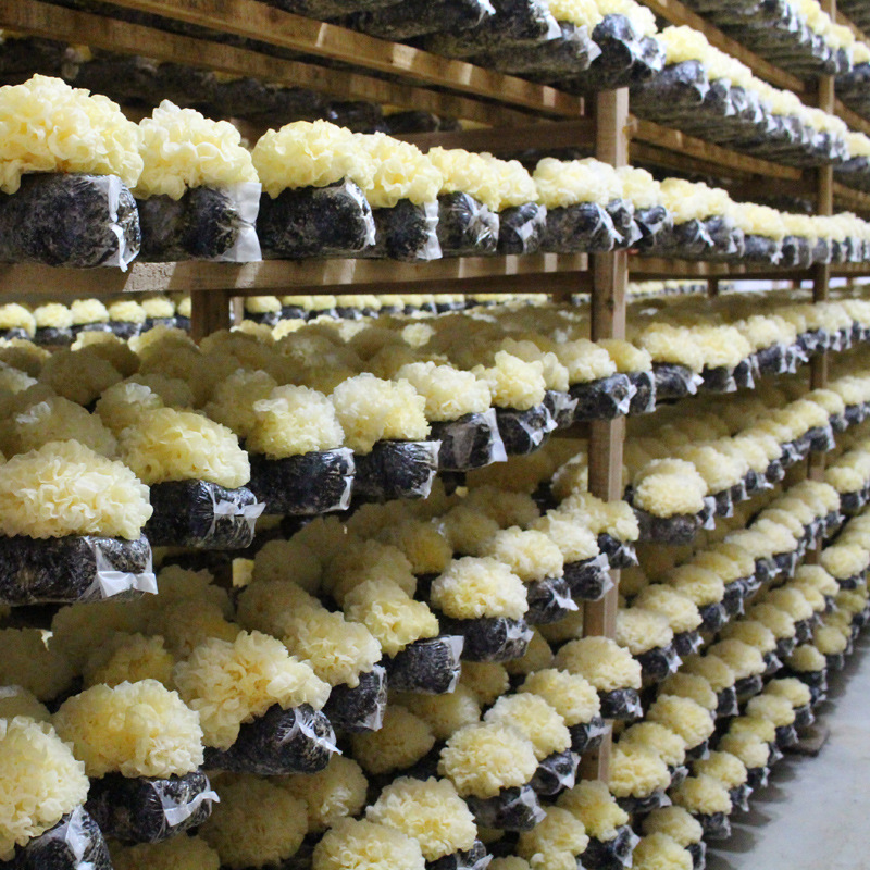 TB2fGu4XcaK.eBjSspjXXXL.XXa_!!