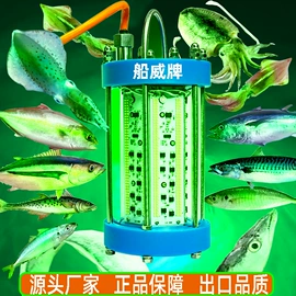 LED集鱼灯