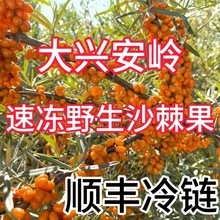 ��؛���d���X�r���ك���Ұ������ɳ��������֭���u������S���]