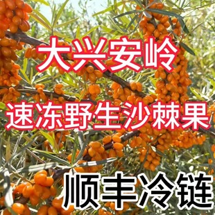 ��؛���d���X�r���ك���Ұ������ɳ��������֭���u������S���]