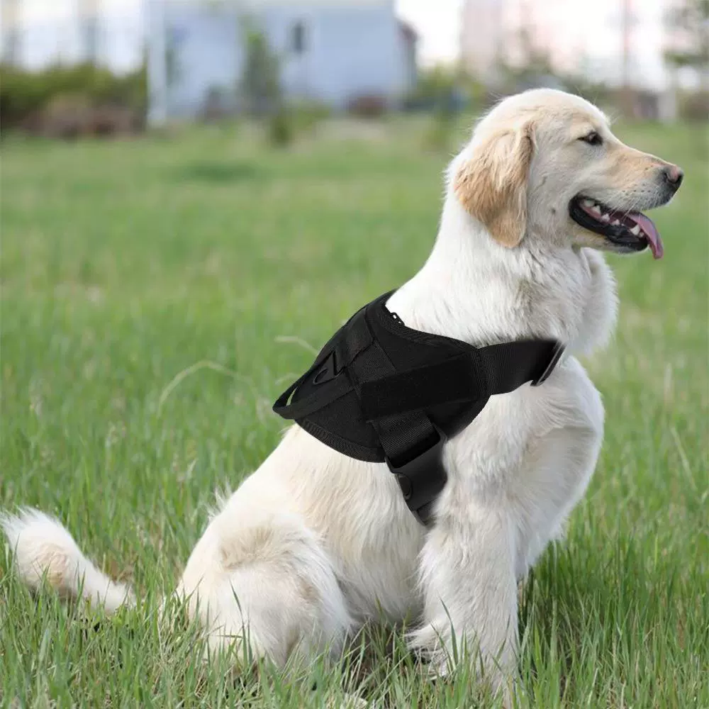 Tactics nylon water repellent vest for training
