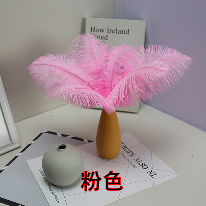 Plumas de avestruz bodas blancas de avestruz guía de plumas accesorios de fotos adornos rojo rosado en línea grandes plumas decoración