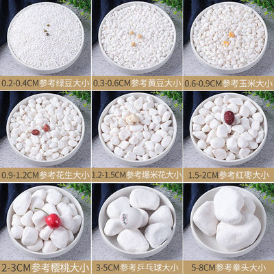 50 white Pebble stone Pebble courtyard Paving White stone gardens landscape Whitehead son