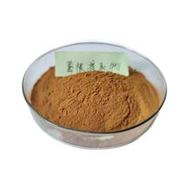 葛根素 葛根提取物  葛根黄酮 益芝民现货 葛根提取物