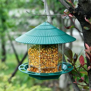 Cross-Border Bird Feeder Outdoor Wild Feeding Pet Bird Hanging Tree Plastic Bird Feeding Equipment