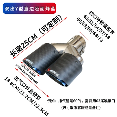 Exhaust pipe – Cover Decoration Upgrade - double-y-shaped-carbon-fiber-straight-matte-blue-original-parking-space-replacement