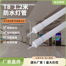 厂家直供t8防水灯管1米2led灯工厂车间车站码头学校地铁日光灯管