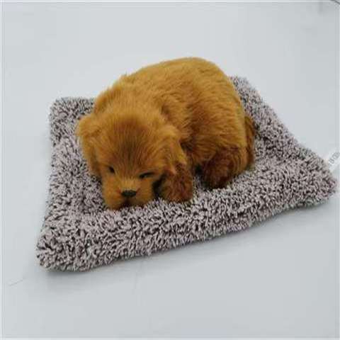 Gran cabello dorado con cabello gris